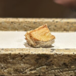 日本橋 蕎ノ字 - 