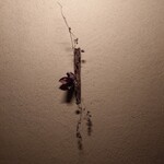 仙太郎 - これは　千ちゃん家の