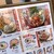 丸亀製麺 - メニュー写真: