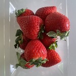 おどや - 料理写真: