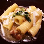 SALONE 2007 - 2014.12.  bosco/ 森 ポルチーニ・栗・マッケロンチーニ