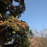 囀 - 
