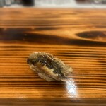 すし処 きみや - 