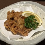 Sake Sakana Shunsai Rikari - 