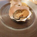 おしゃべりきのこ - 