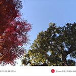 パンとエスプレッソと嵐山庭園 - 