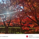 パンとエスプレッソと嵐山庭園 - 