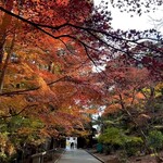 フルーツカフェ ニジ - 美しい赤いトンネル♪