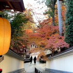 フルーツカフェ ニジ - 手入れの行き届いた庭園の紅葉はほんっと素晴らしい♪ ₊˚⊹☆