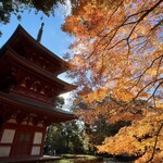 フルーツカフェ ニジ - 三重塔に映える紅葉♪