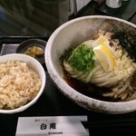 讃岐うどん 白庵 - おろしぶっかけひやランチ６７０円