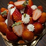 レタンプリュス - 