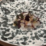 Rooots Nakanoshima - 