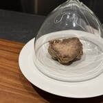 Rooots Nakanoshima - 