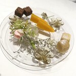 Wakana ～和奏～ - 