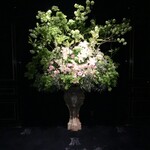 トゥールダルジャン - 