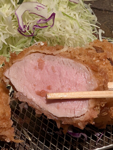 カツです。 カツ2枚のせで約1kg！#カツ丼は人を幸せにする 神田店「#とじないカツ