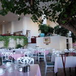 Hau Tree Lanai Restaurant - 