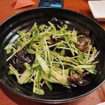 焼き鳥&焼きラム うまいける - 豆苗とキクラゲのサラダ。初めて来ましたが、何を食べても美味しかった