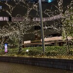 MORETHAN TAPAS LOUNGE - 