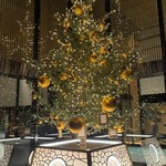 鮨旬美 西川 - ホテルエントランス　クリスマスツリー