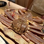 橦木町 しみず - 越前蟹