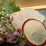 札幌 鮨Sublime - 造り