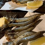 食べ放題 炭火焼鳥 個室居酒屋 鉄神 - 