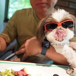 ア フェネステッラ - 