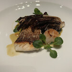 THE COSMOPOLITAN GRILL BAR TERRACE - 