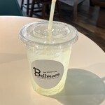 Sea breeze Cafe Bellmare - ドリンク写真:土佐の文旦ソーダ