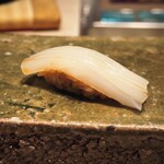 鮨 たくま - アオリイカ（和歌山）