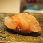 鮨 たくま - 甘海老（富山）