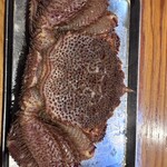 大衆居酒屋魚さんこ - 