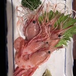 大衆居酒屋魚さんこ - 