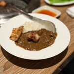 東陽町 大衆焼肉 暴飲暴食 - ホルモン焼いたらカレーのトッピング