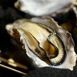 カキシバ!～牡蠣シバこう!～ - 