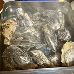 カキシバ!～牡蠣シバこう!～ - 