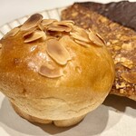 どんぐり ココノススキノ店 - 