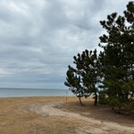 らーめん天天 - 