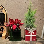 杏樹亭 岸根店 - 店内①