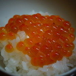 松川 - 【冬】いくらご飯(2014.12.13)