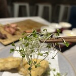 羽衣のあしあと - 