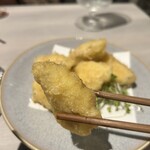 羽衣のあしあと - 