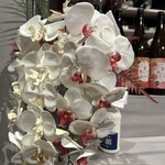 羽衣のあしあと - 