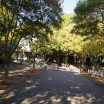 カフェボスケ - 庭？