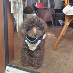 エレニーカフェ - 