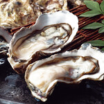 本格板前居酒屋 お魚総本家 - 