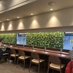 ドトールコーヒーショップ - 