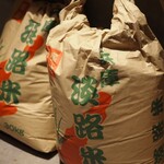 おにぎりポニーテール - 